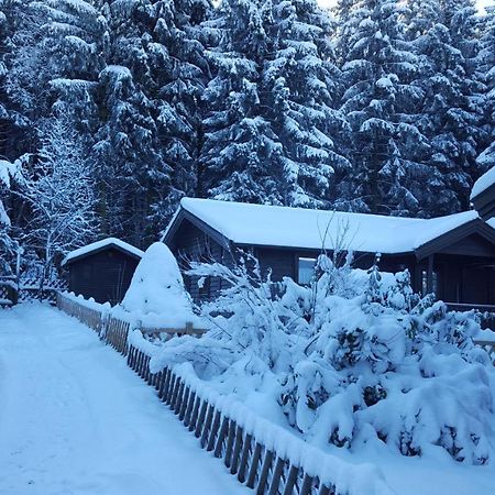 Waldsee-Ferienhaus-Mit-Kamin-W-Lan Clausthal-Zellerfeld Buitenkant foto