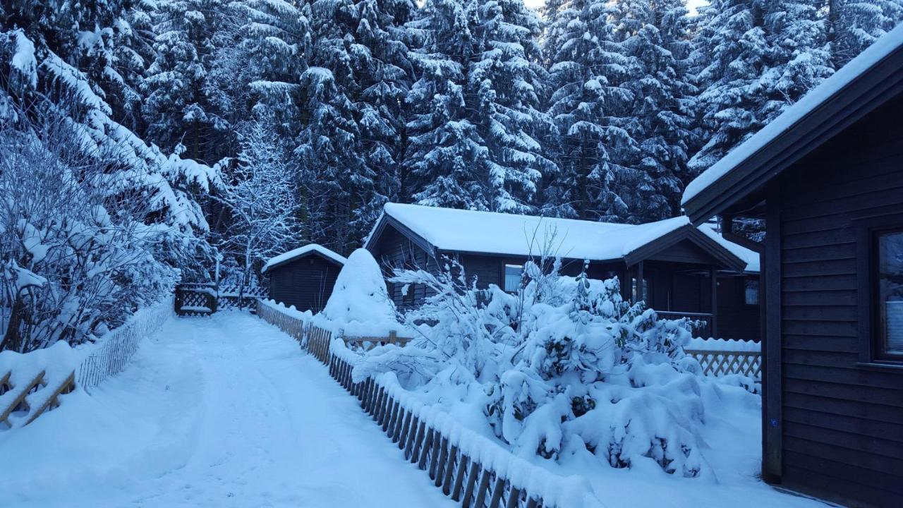 Waldsee-Ferienhaus-Mit-Kamin-W-Lan Clausthal-Zellerfeld Buitenkant foto