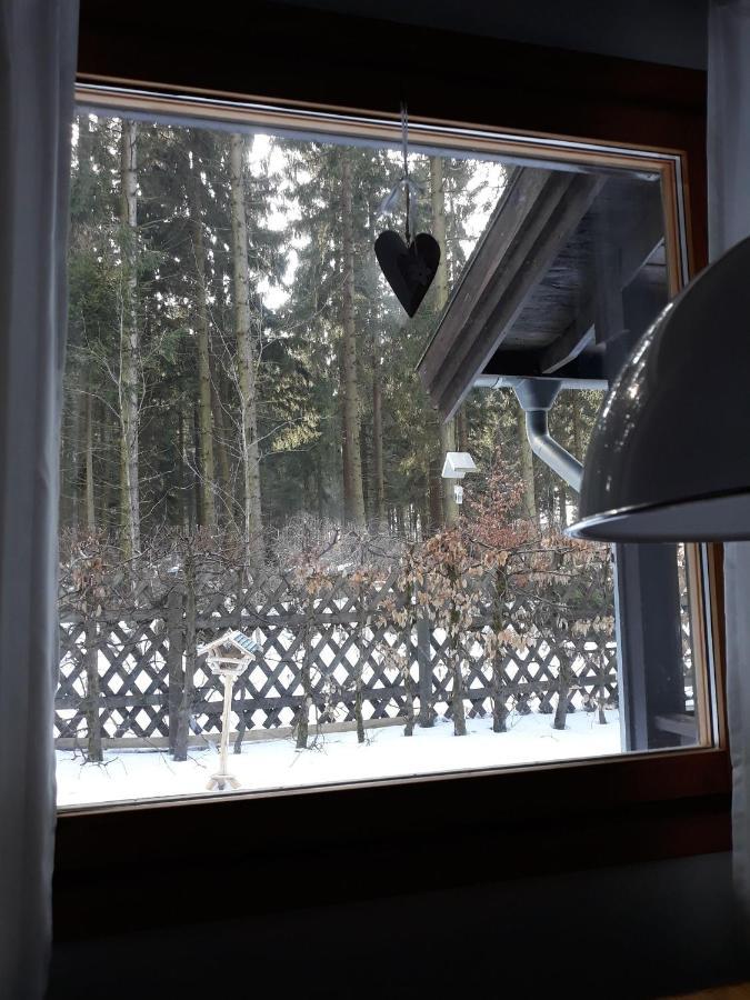 Waldsee-Ferienhaus-Mit-Kamin-W-Lan Clausthal-Zellerfeld Buitenkant foto