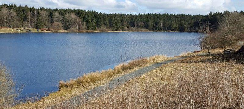 Waldsee-Ferienhaus-Mit-Kamin-W-Lan Clausthal-Zellerfeld Buitenkant foto