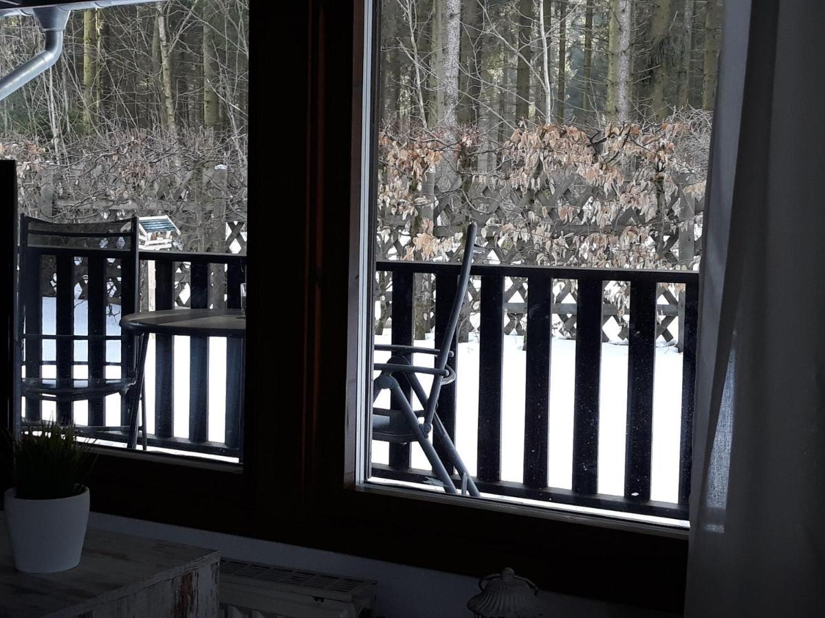 Waldsee-Ferienhaus-Mit-Kamin-W-Lan Clausthal-Zellerfeld Buitenkant foto